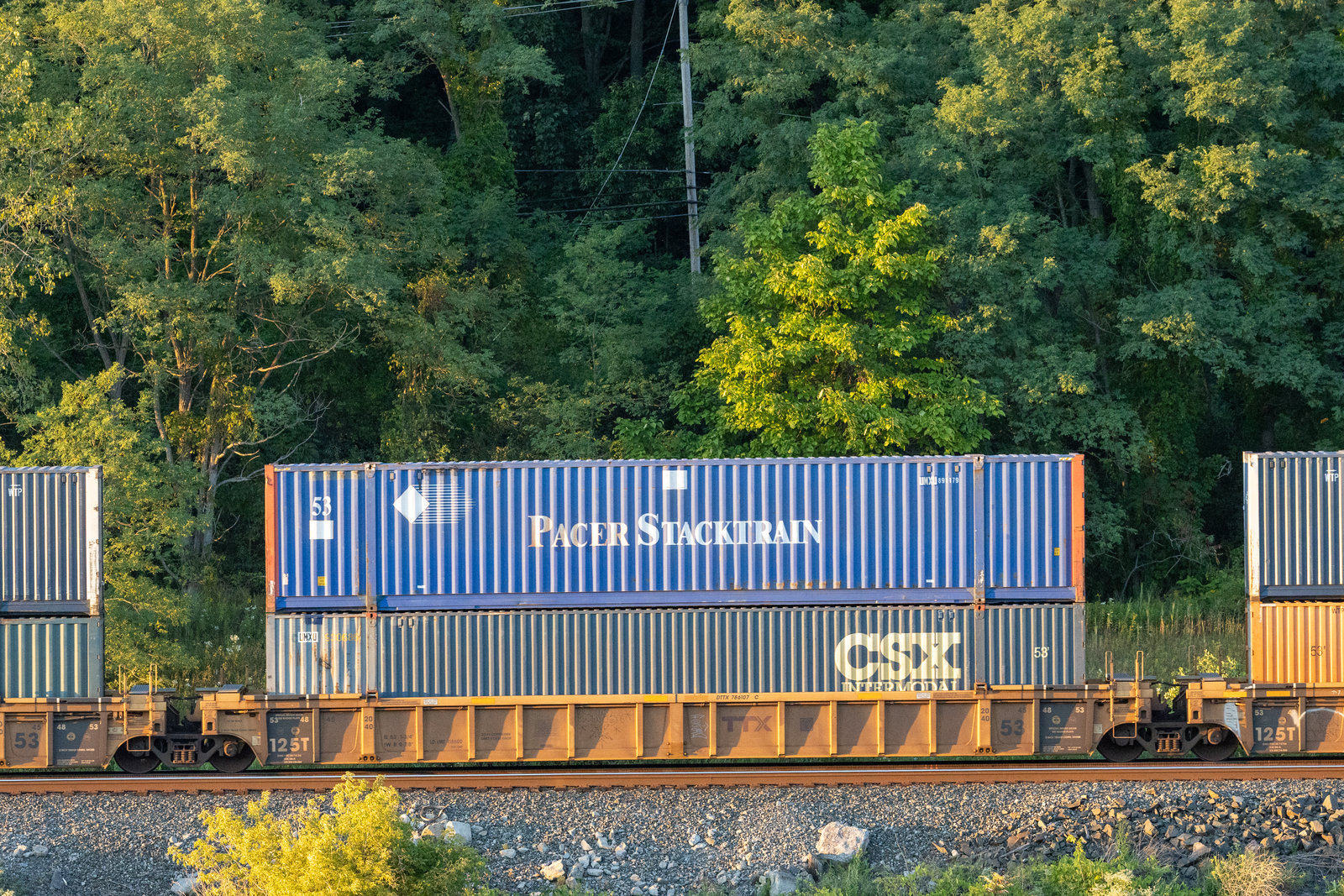 DTTX 786107C