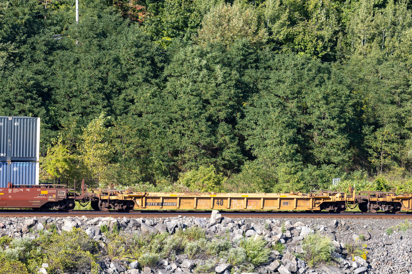DTTX 449828