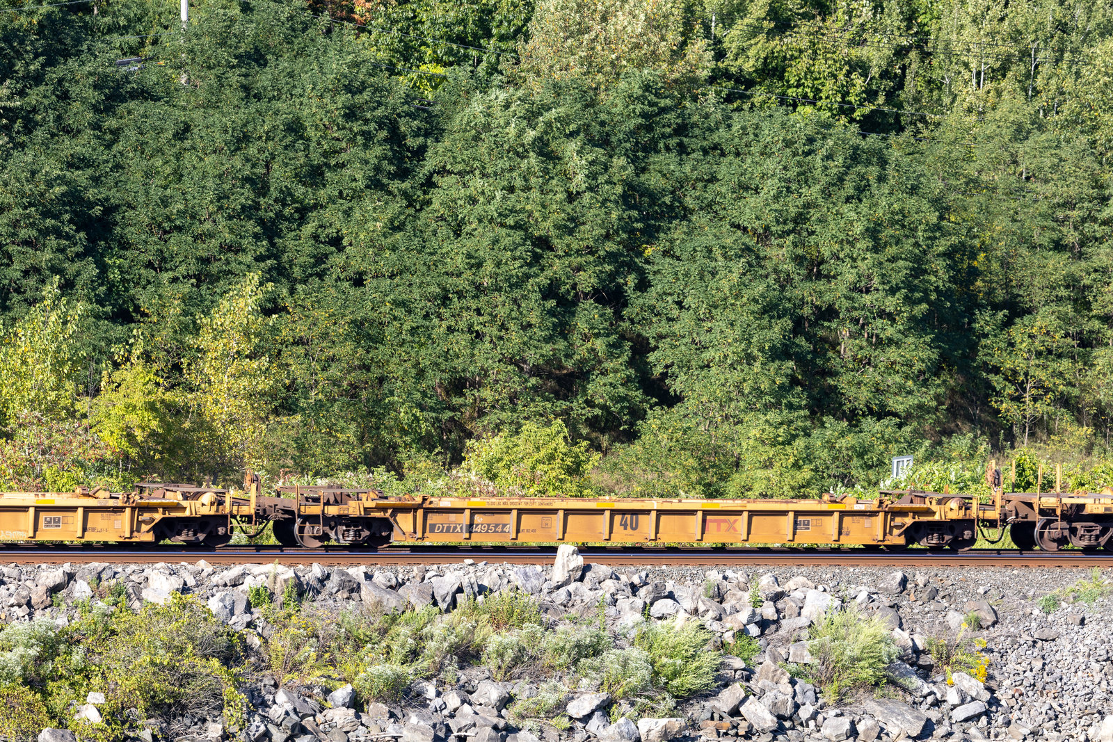 DTTX 449544