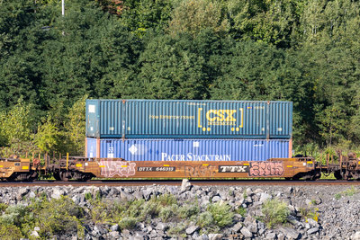 DTTX 646313