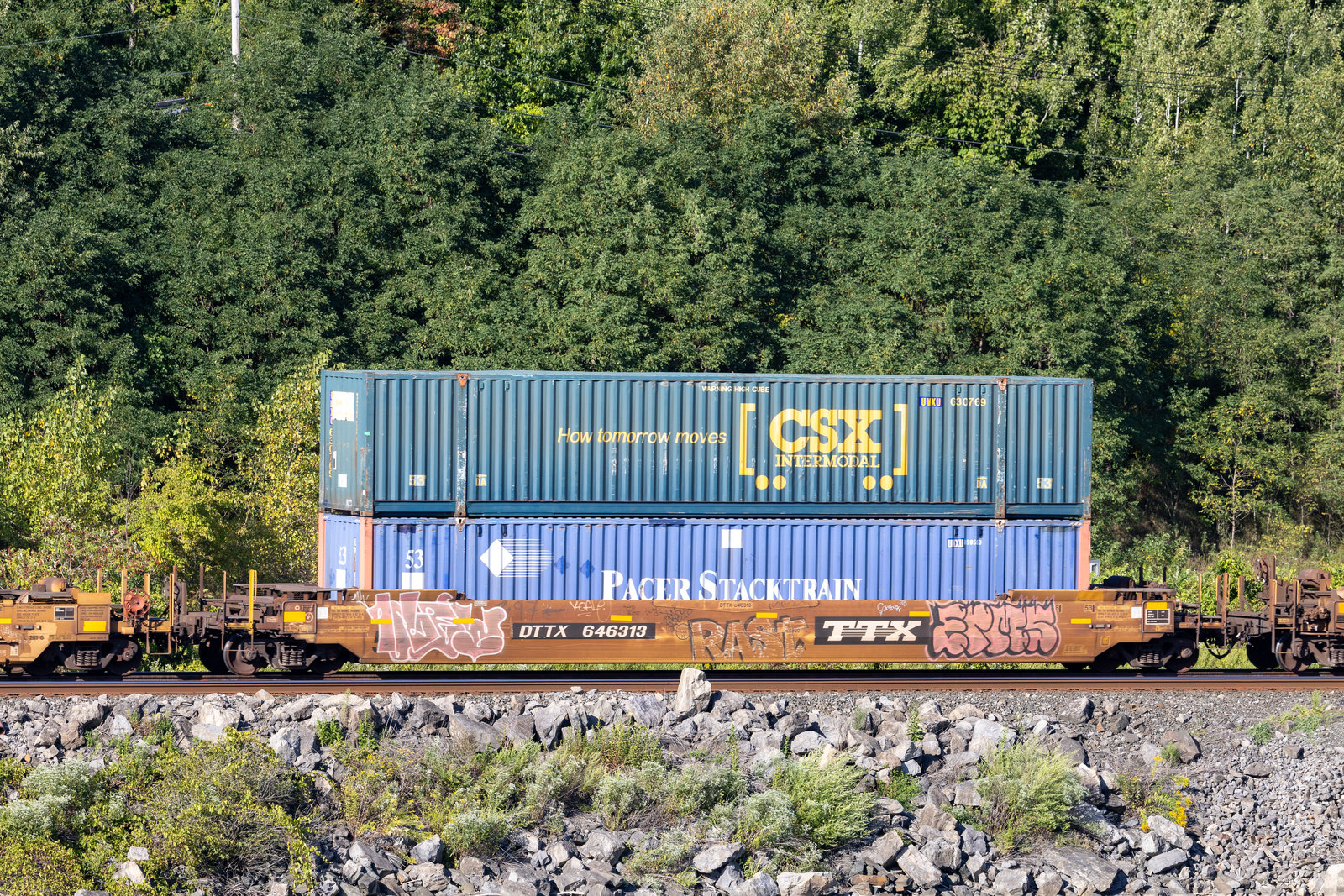DTTX 646313