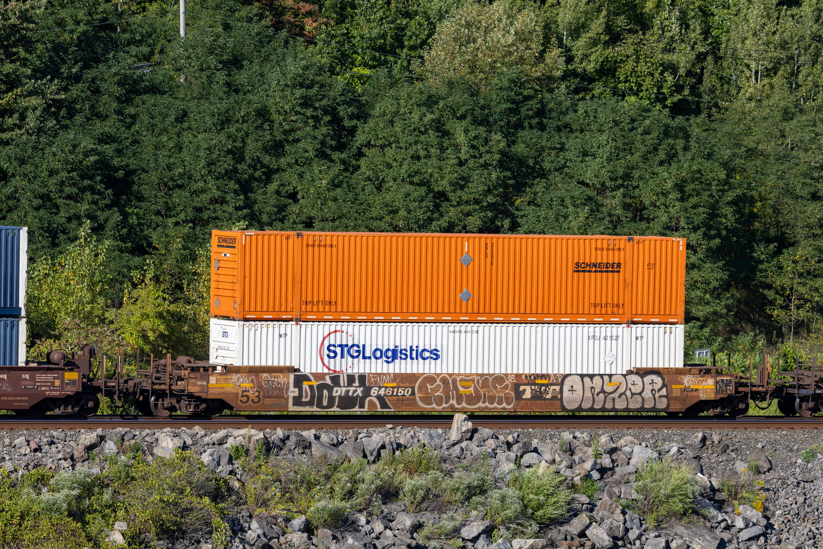 DTTX 646150