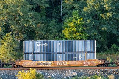 DTTX 645826