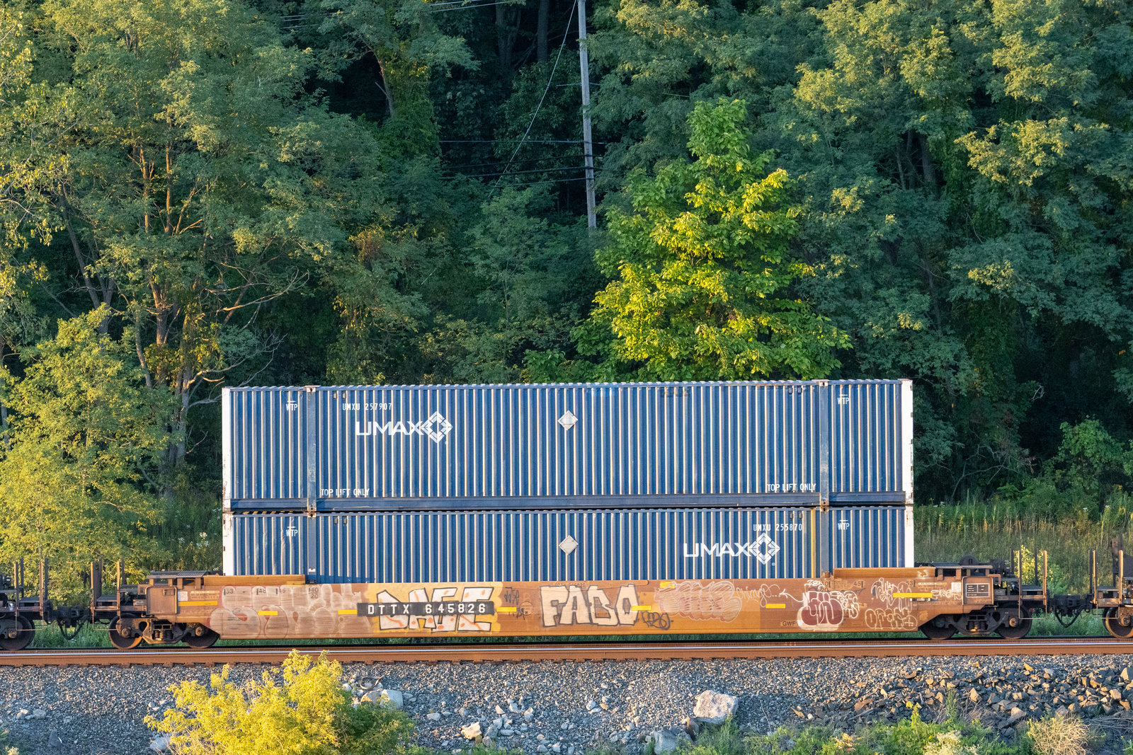 DTTX 645826