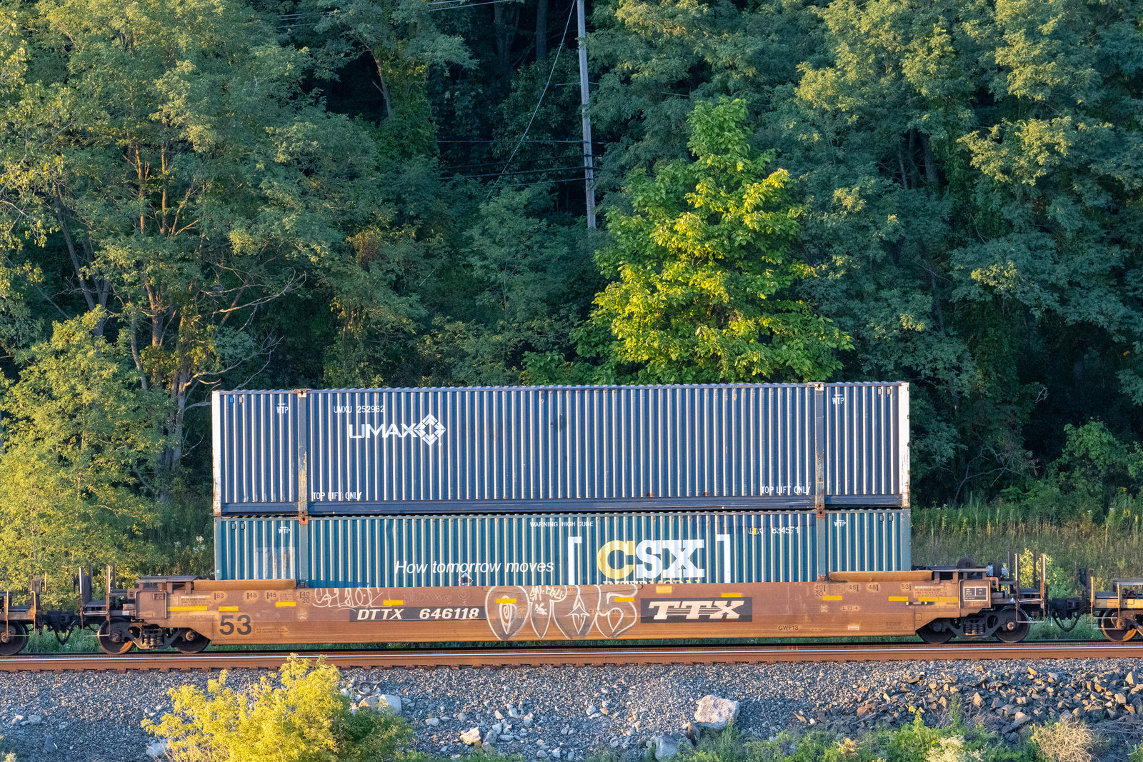 DTTX 646118