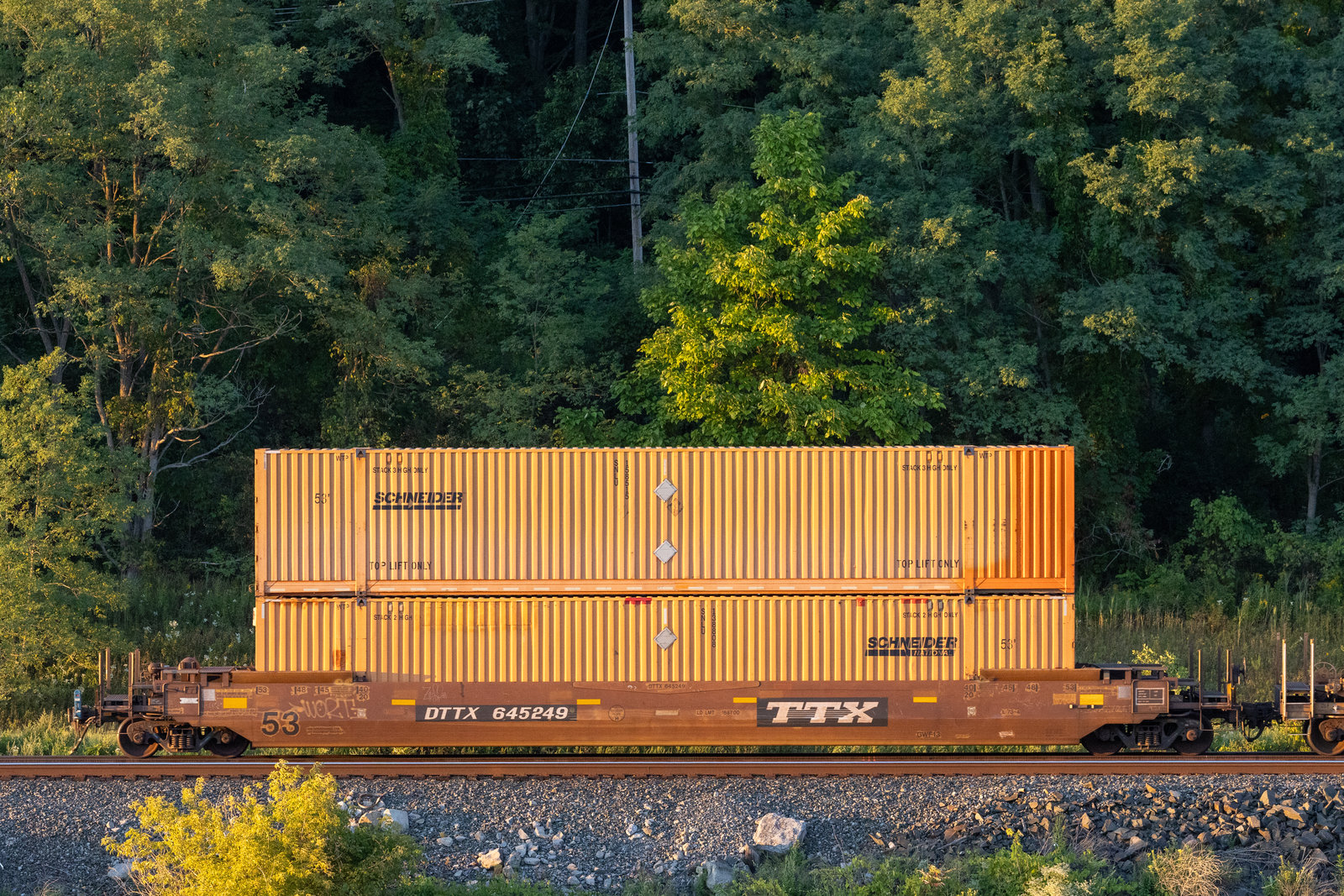 DTTX 645249