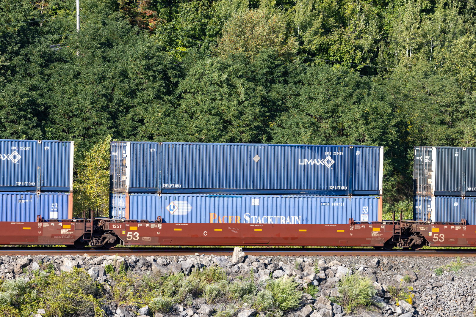 DTTX 890502C