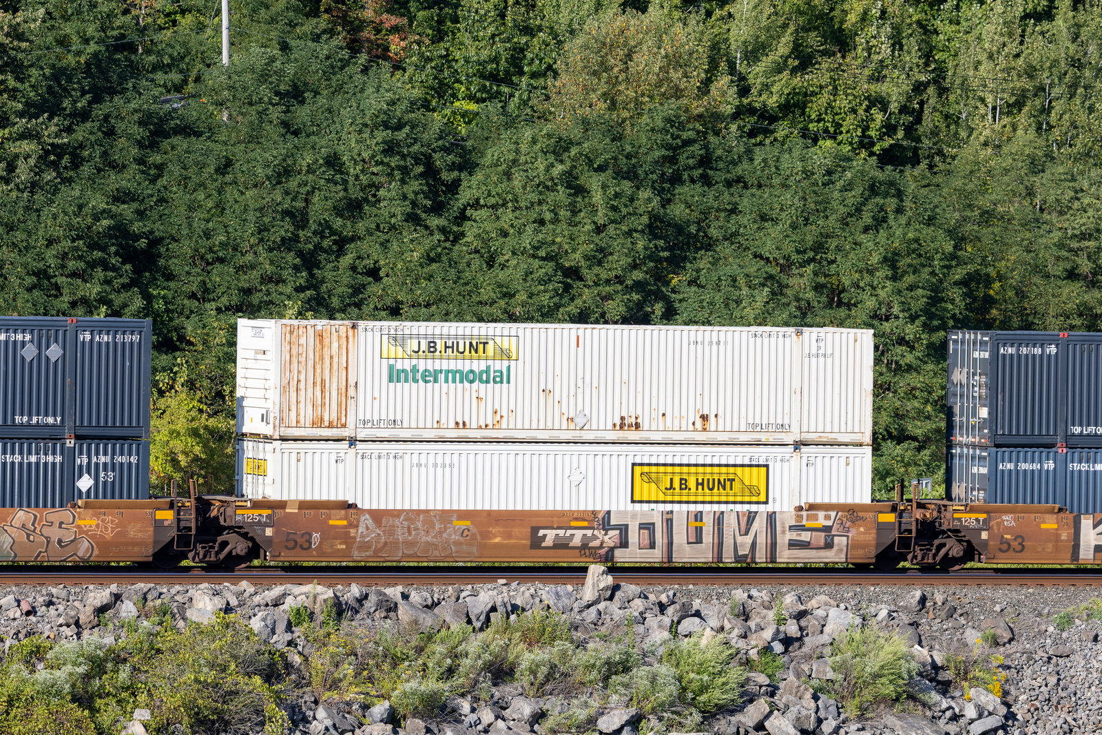 DTTX 733182C