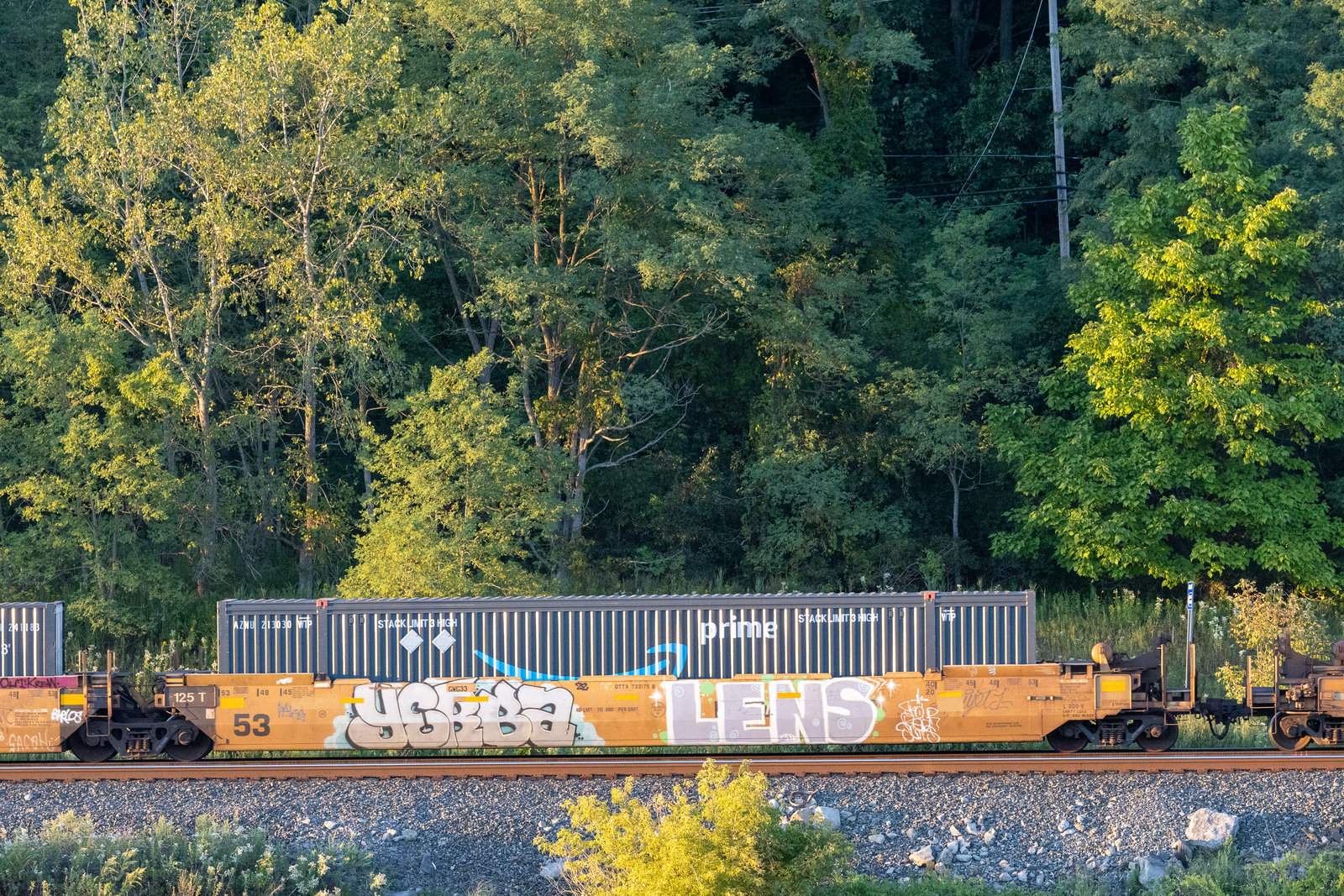 DTTX 733175B