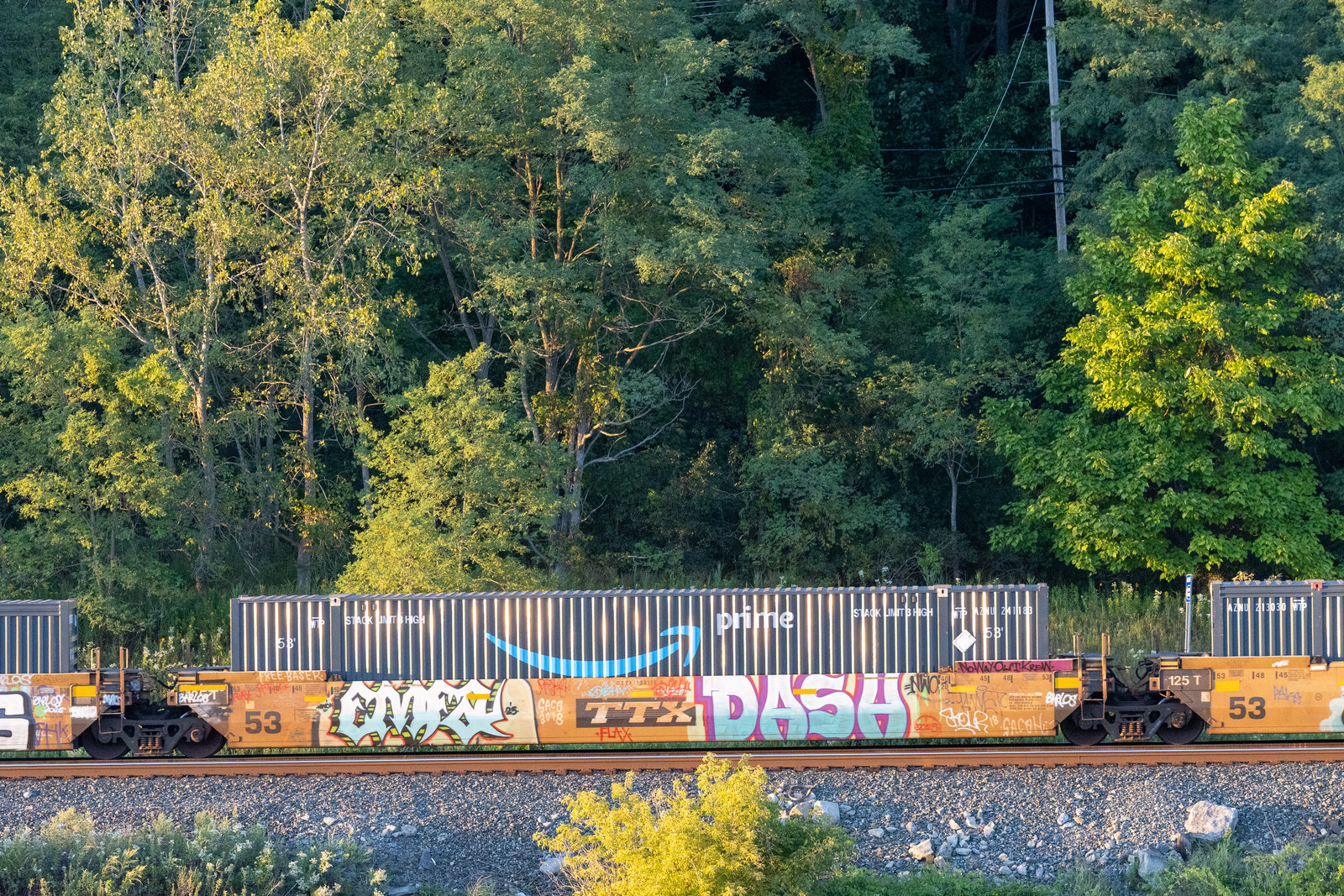 DTTX 733175C