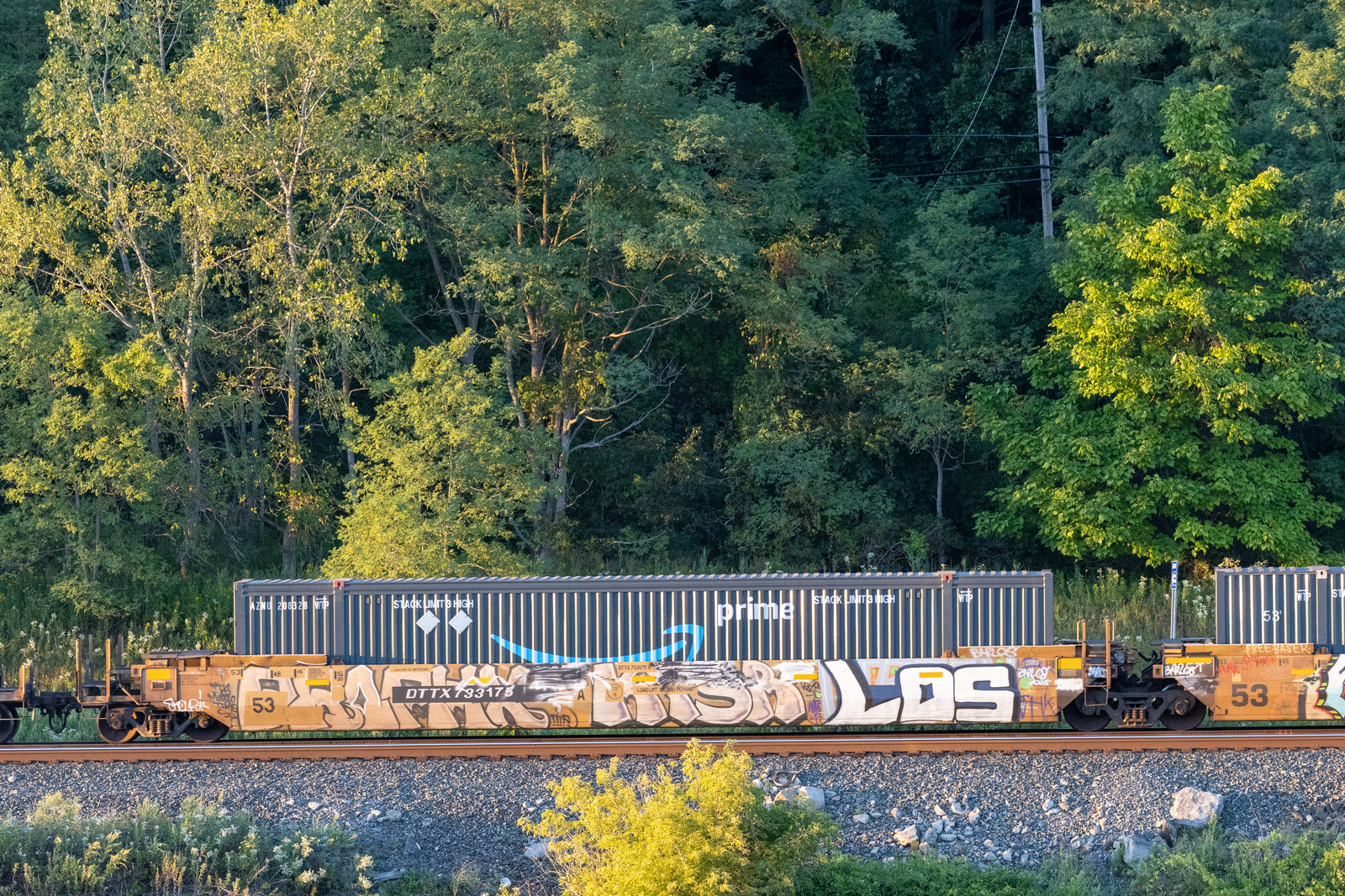 DTTX 733175A