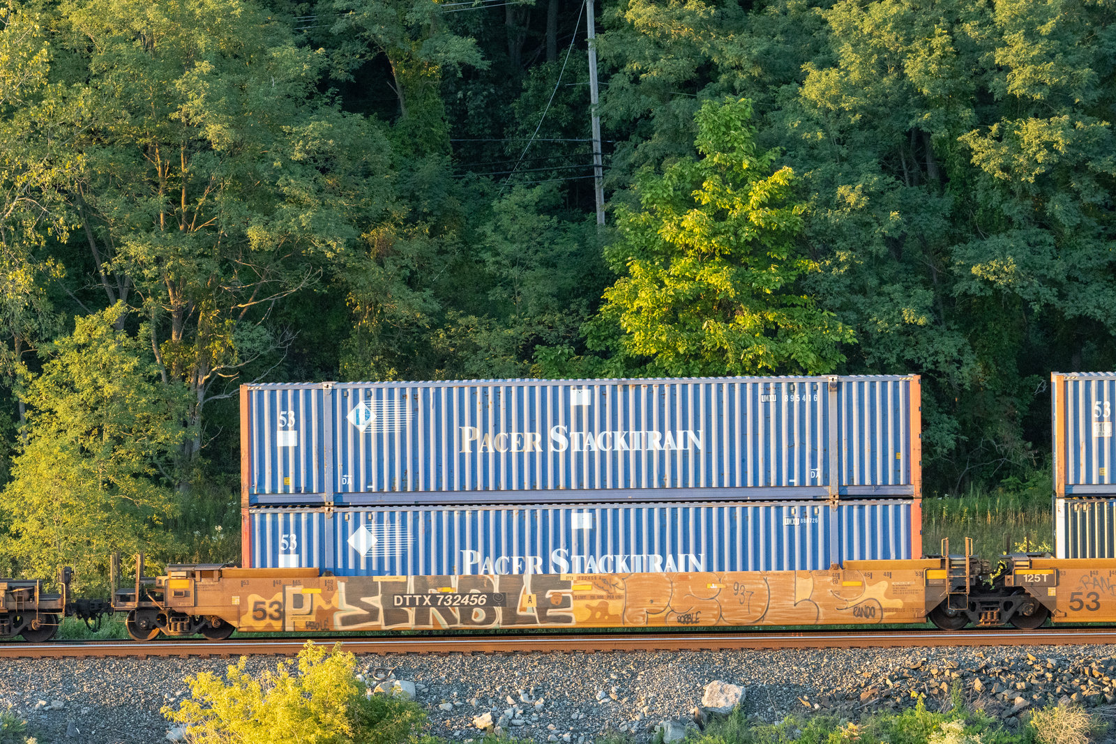 DTTX 732456A