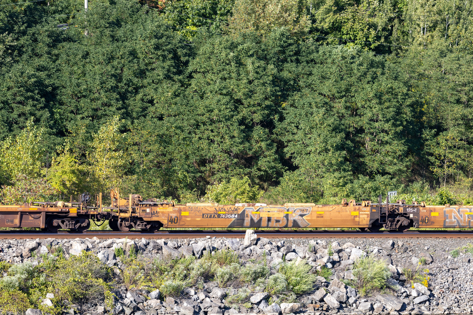 DTTX 743684A