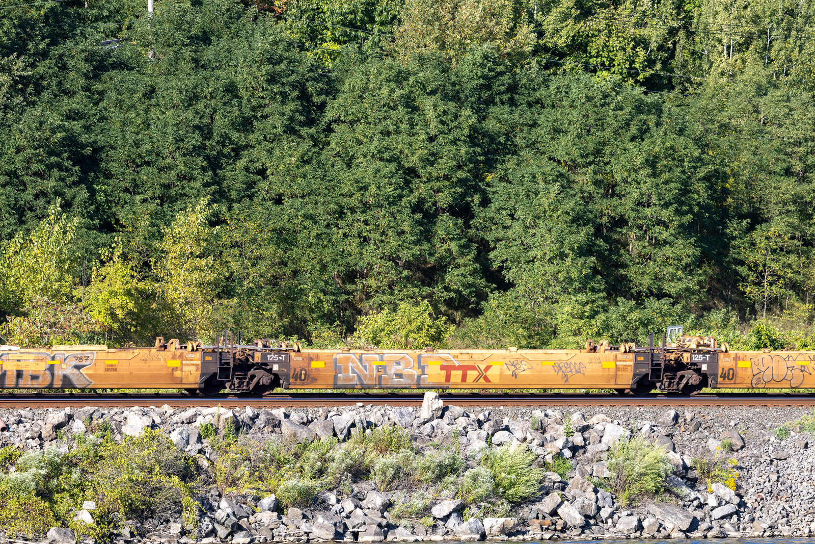 DTTX 743684E