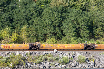 DTTX 743684D
