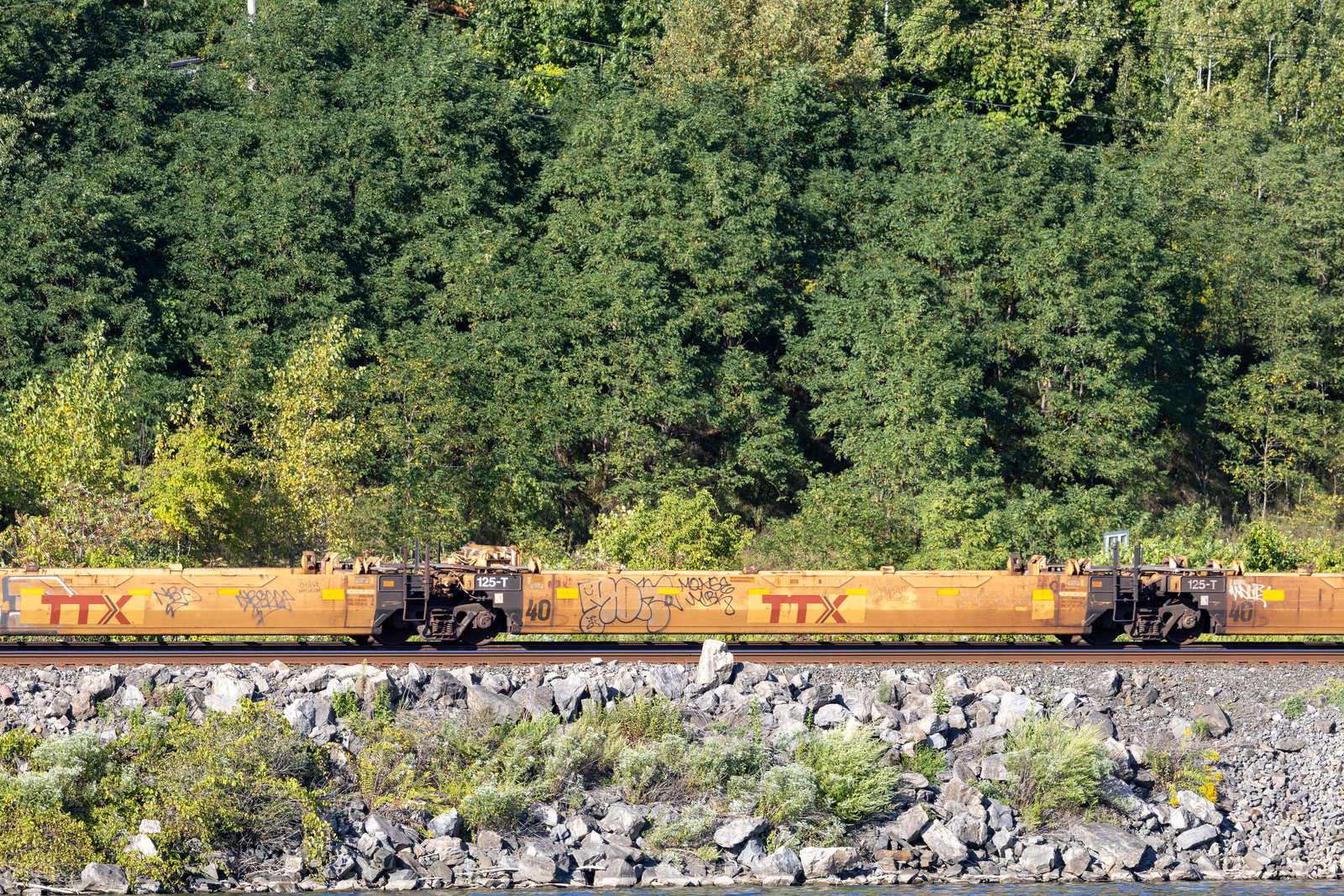 DTTX 743684D