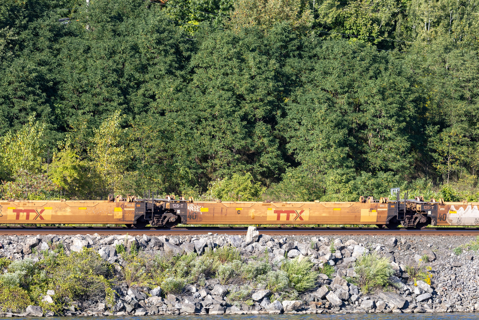 DTTX 743684C