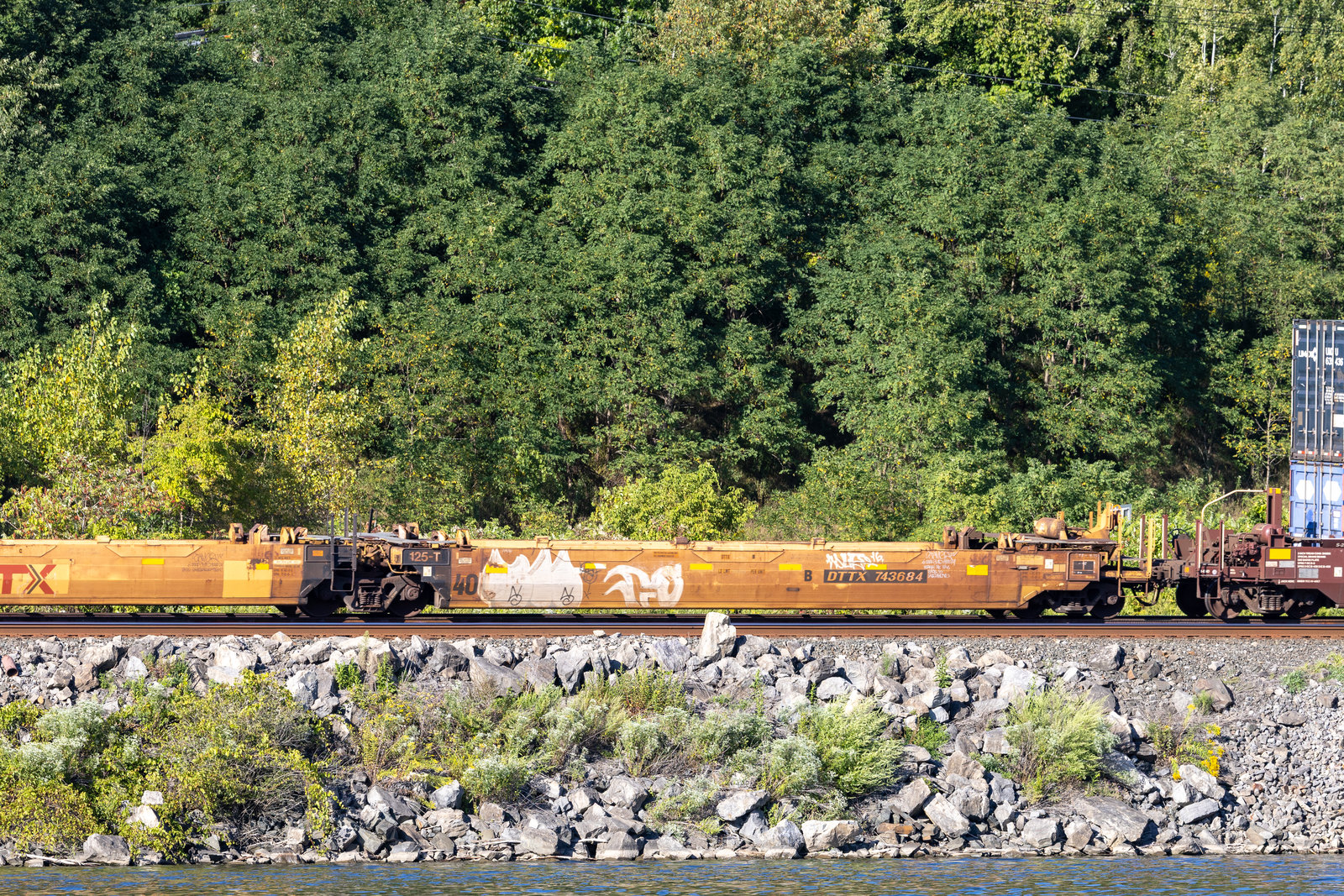 DTTX 743684B