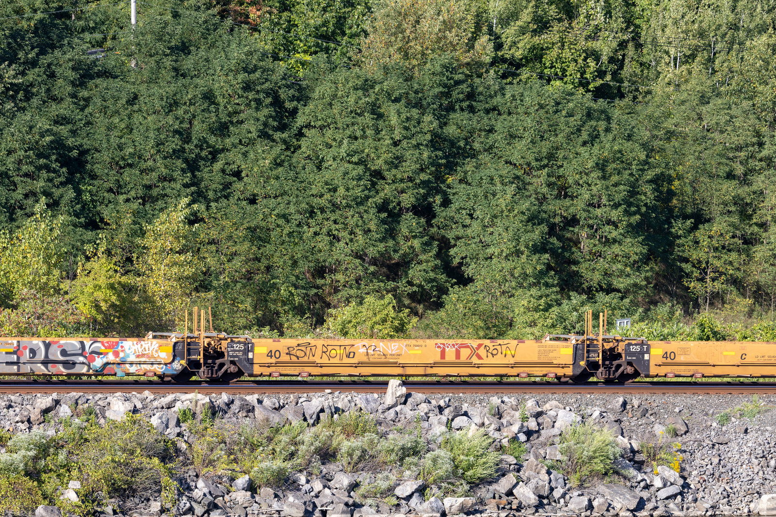 DTTX 759912D