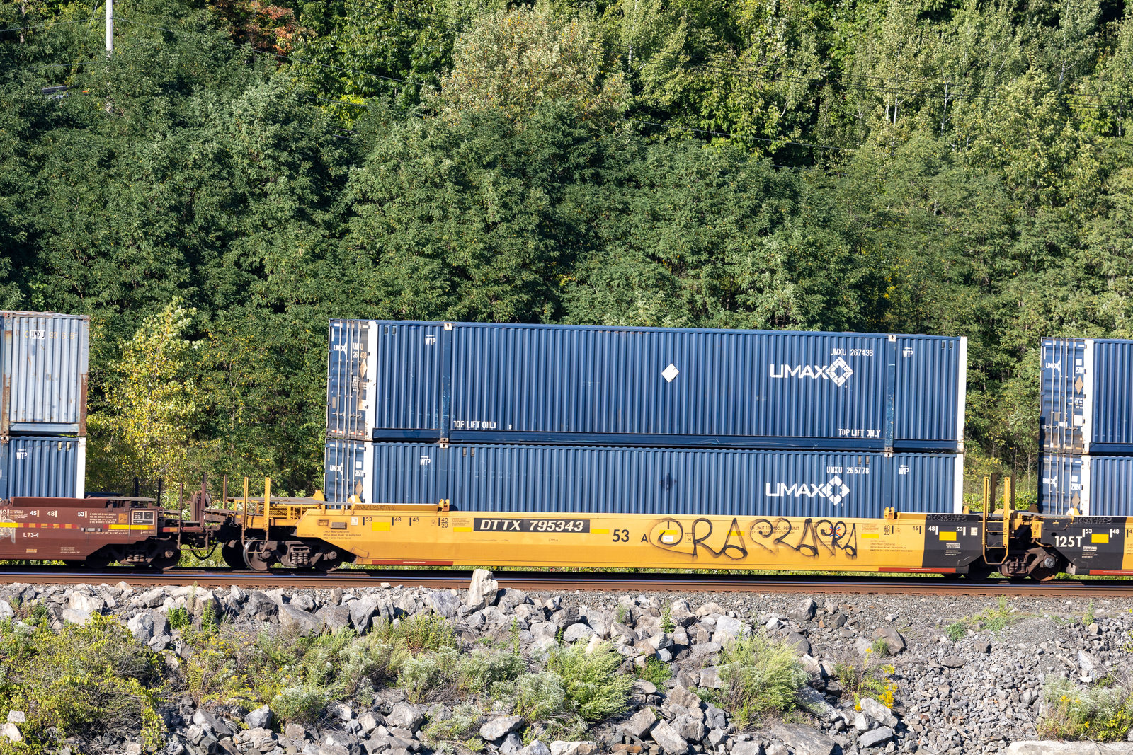 DTTX 795343A