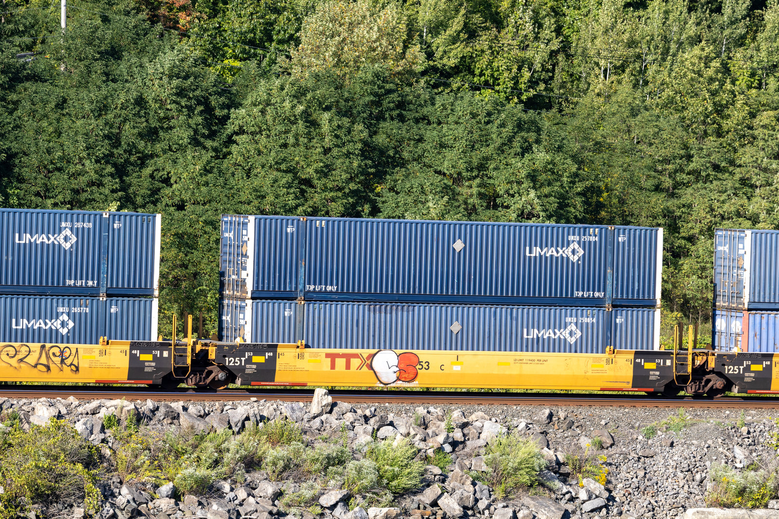 DTTX 795343C