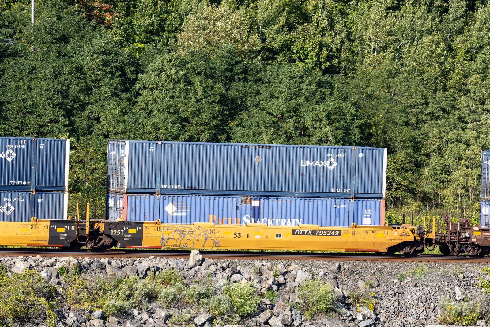 DTTX 795343B