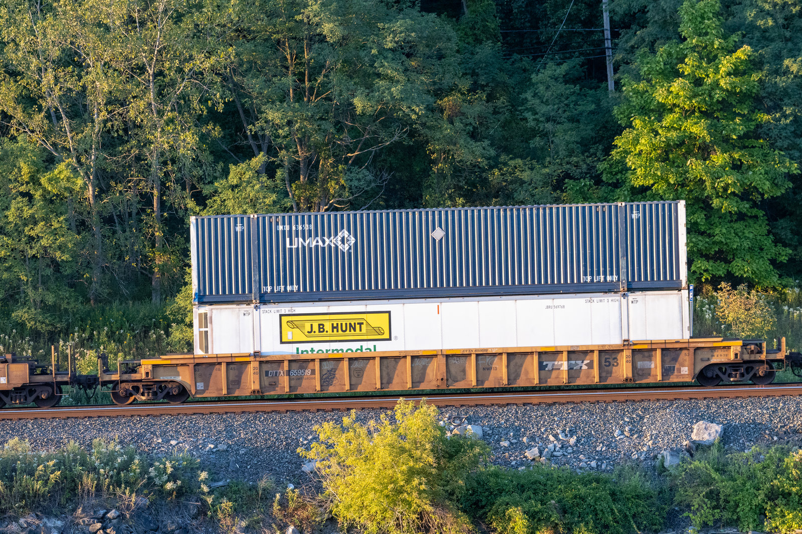 DTTX 659519