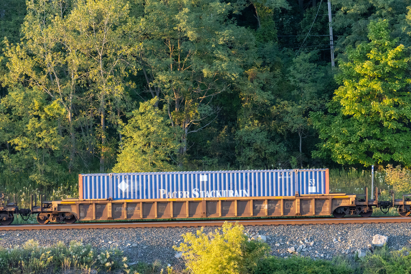 DTTX 656019