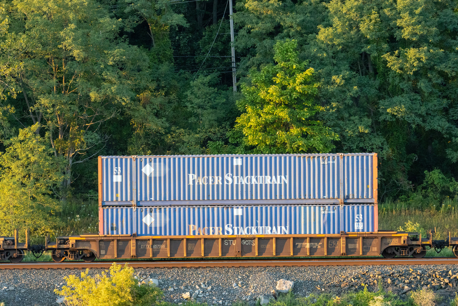 DTTX 657066