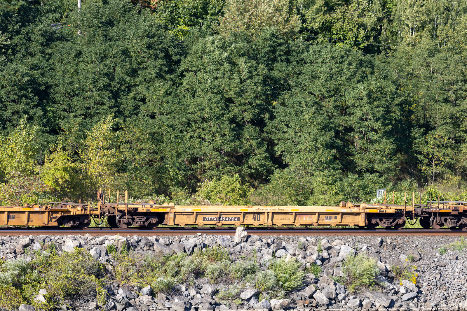 DTTX 454784