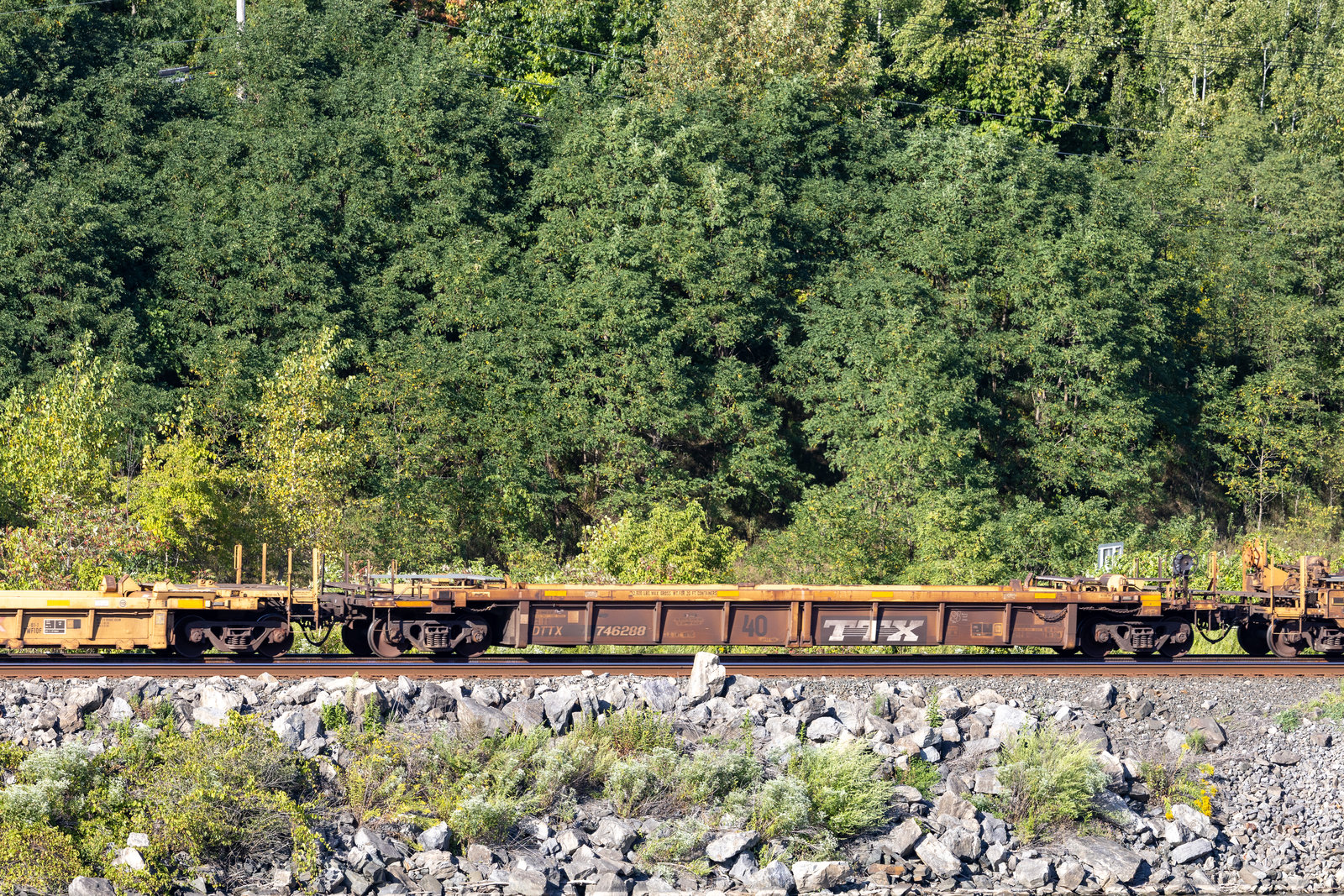 DTTX 746288