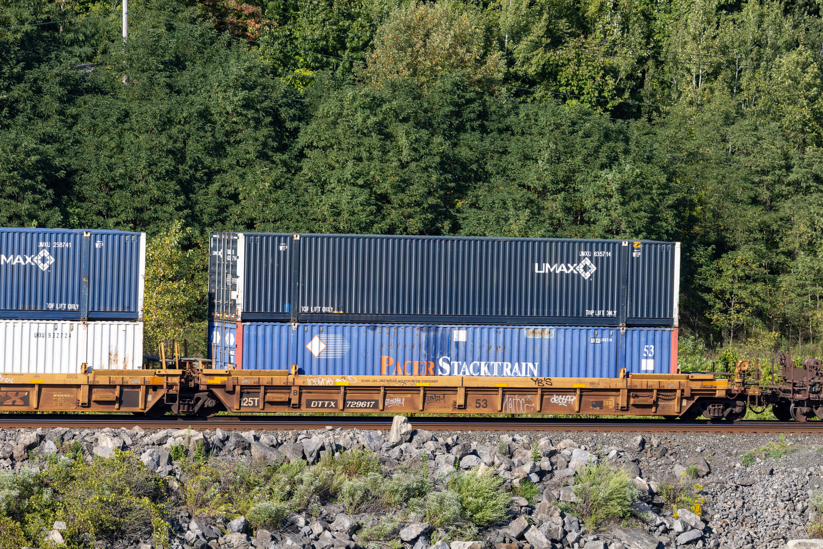 DTTX 729617B