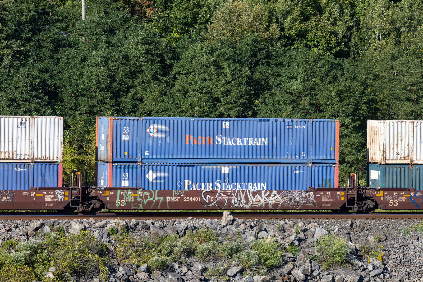 BNSF 254401C