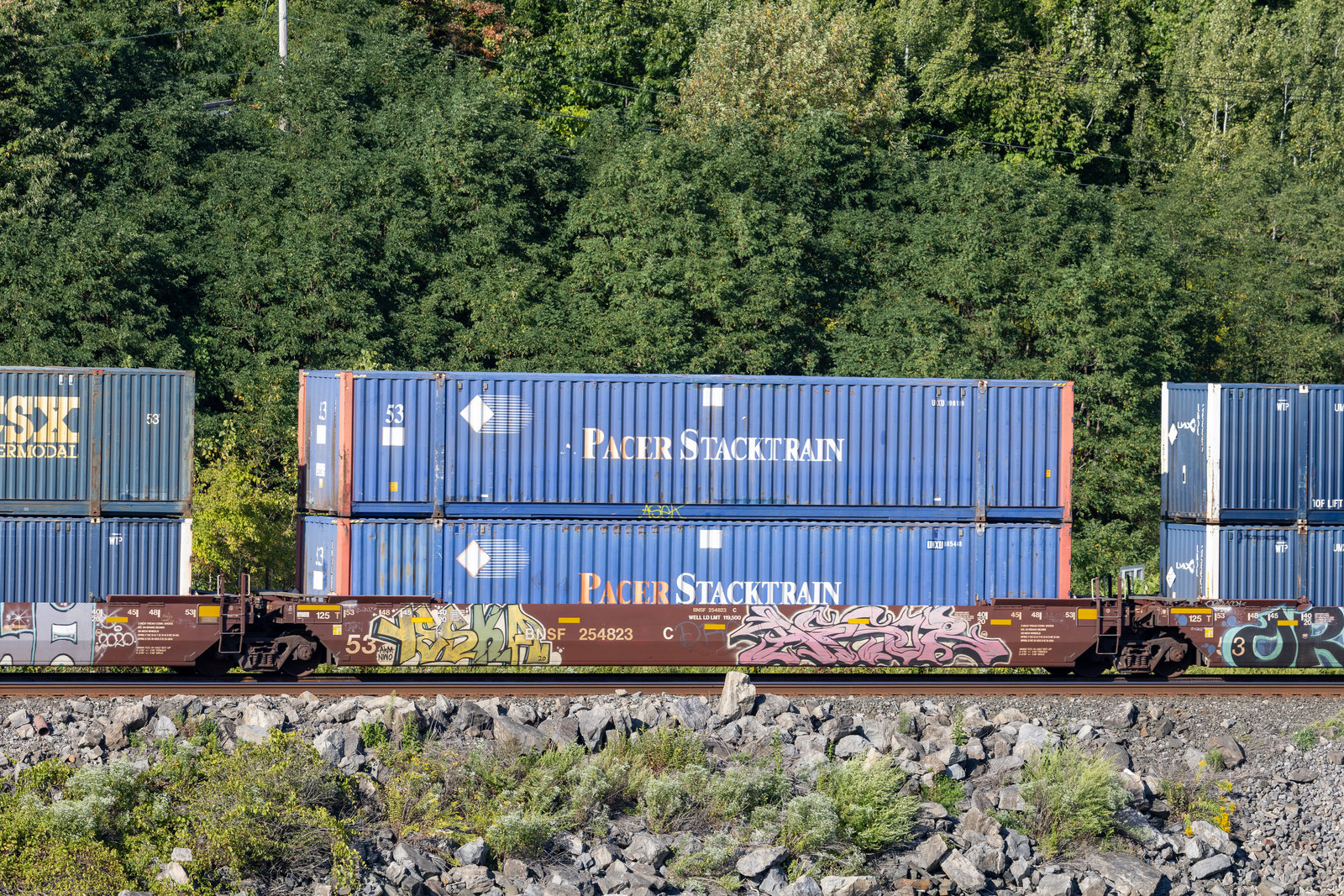 BNSF 254823C