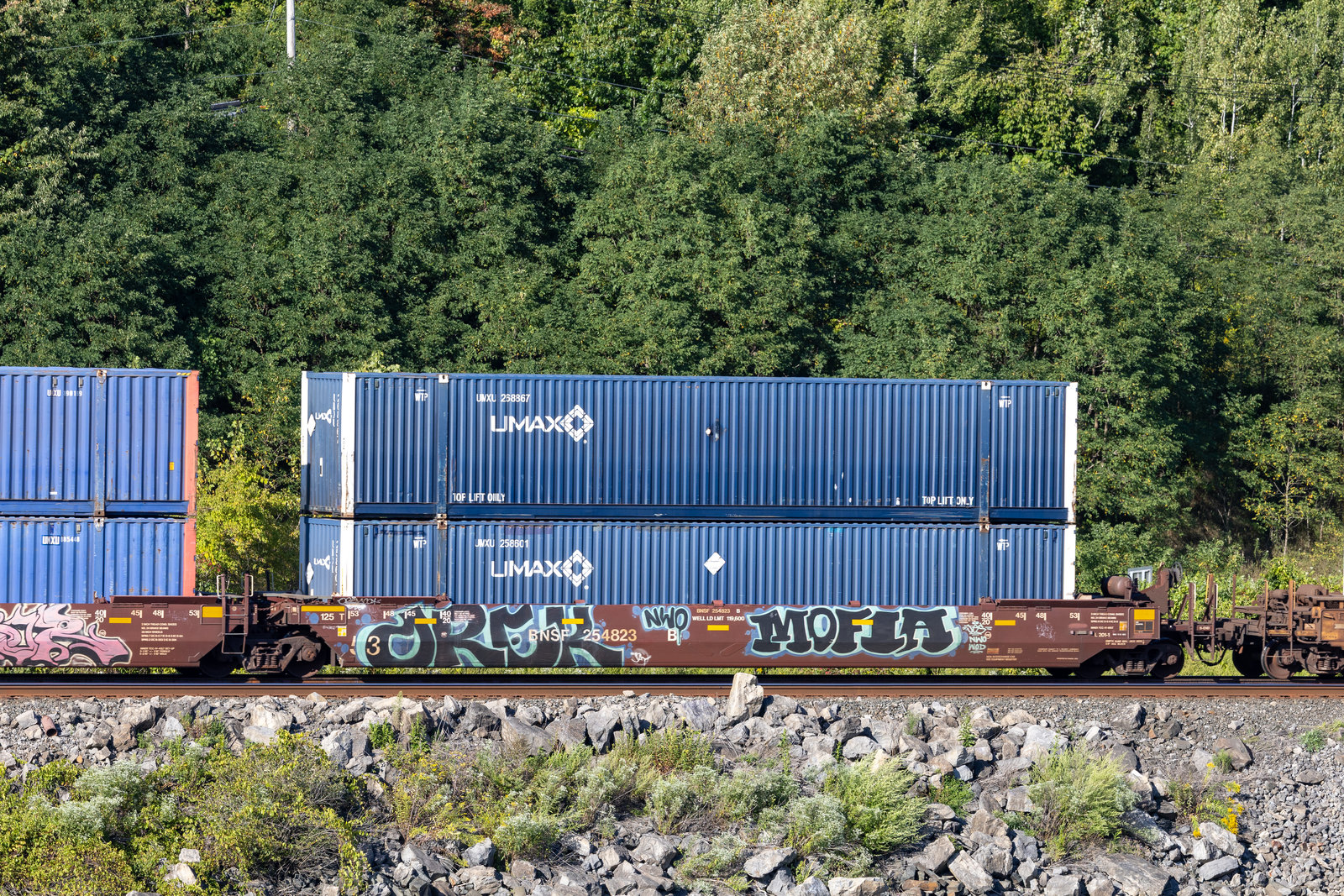BNSF 254823B