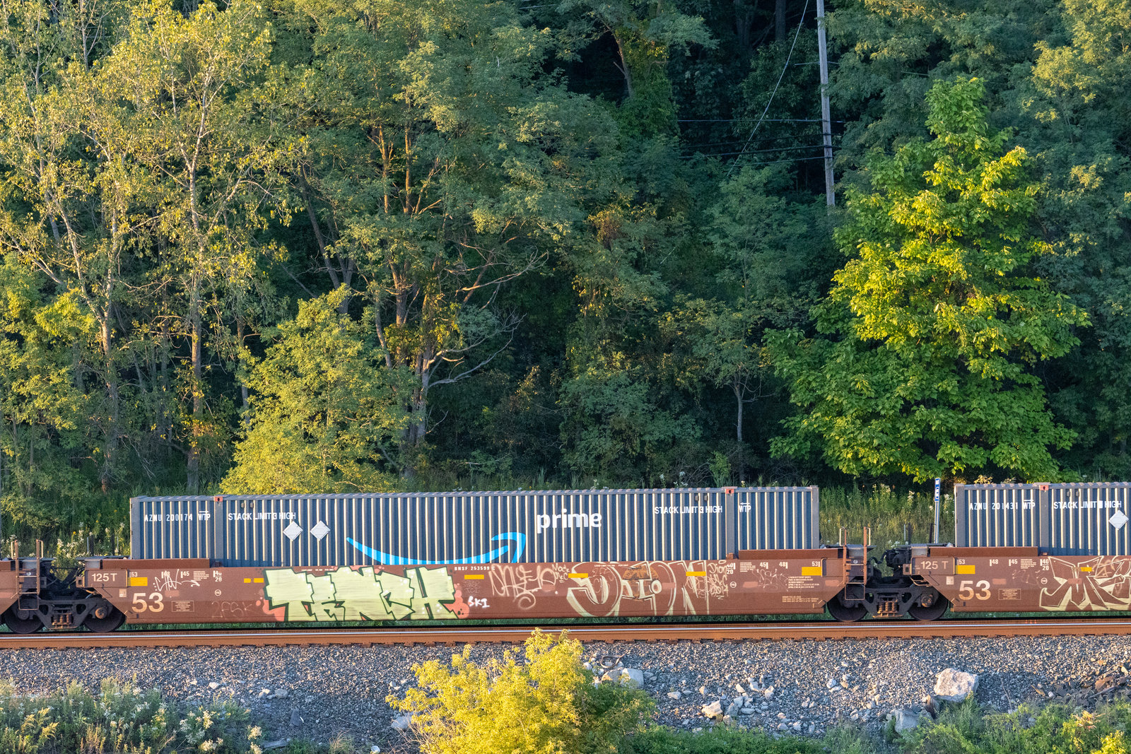 BNSF 253599C