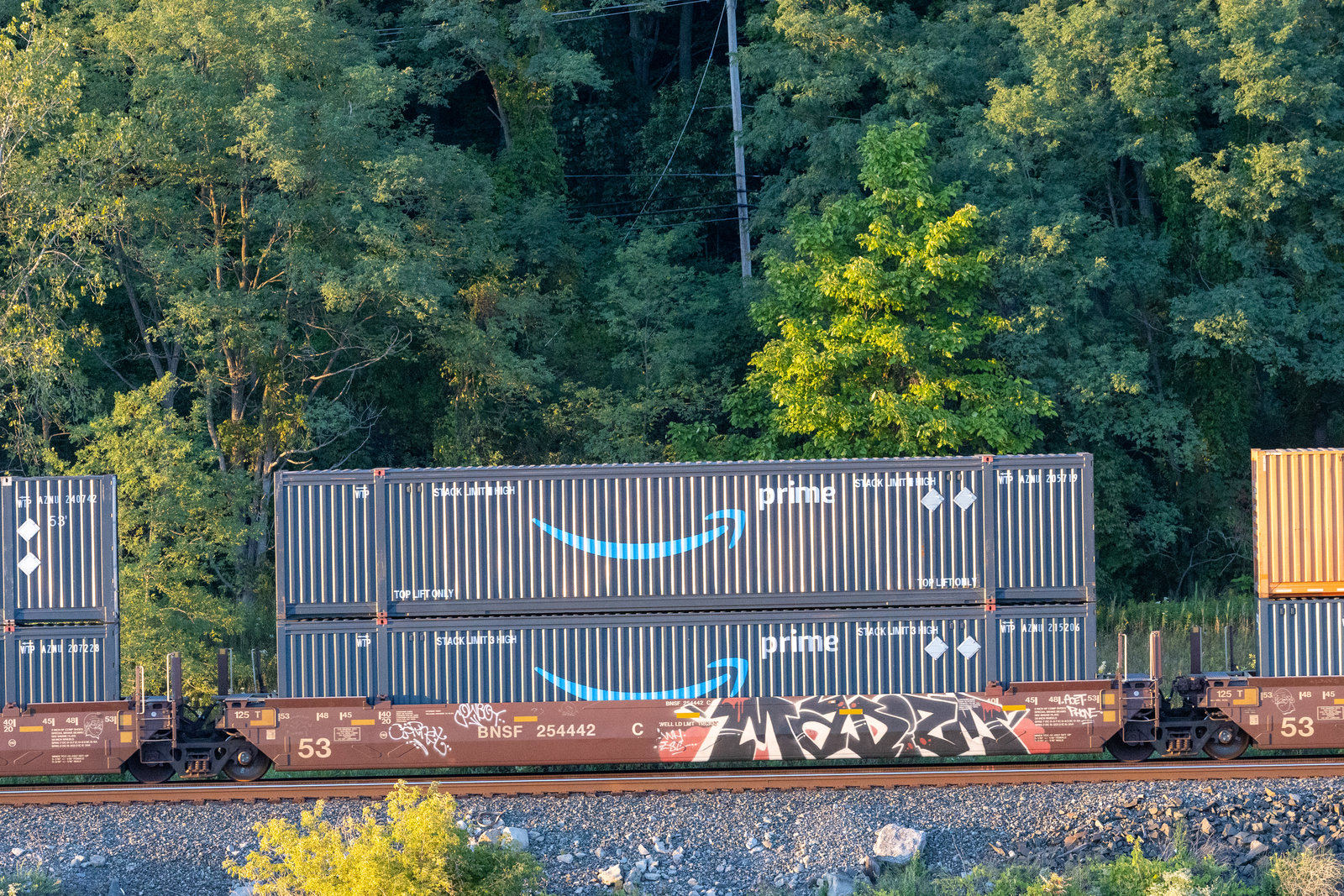 BNSF 254442C