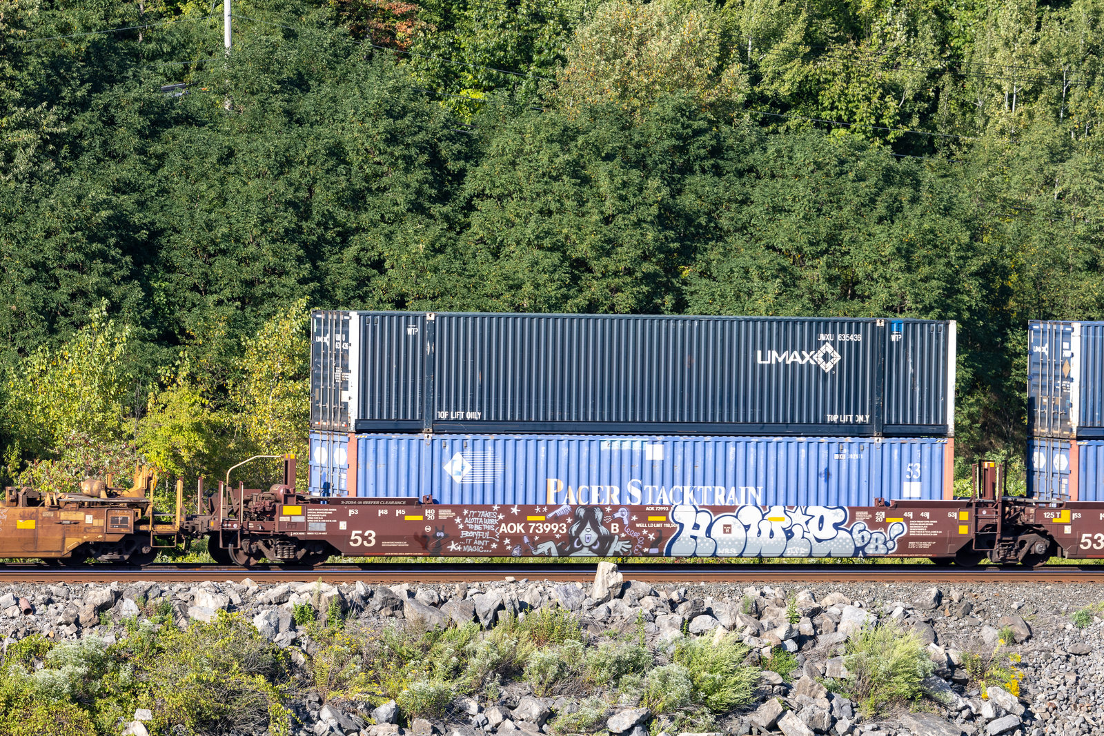 AOK 73993B