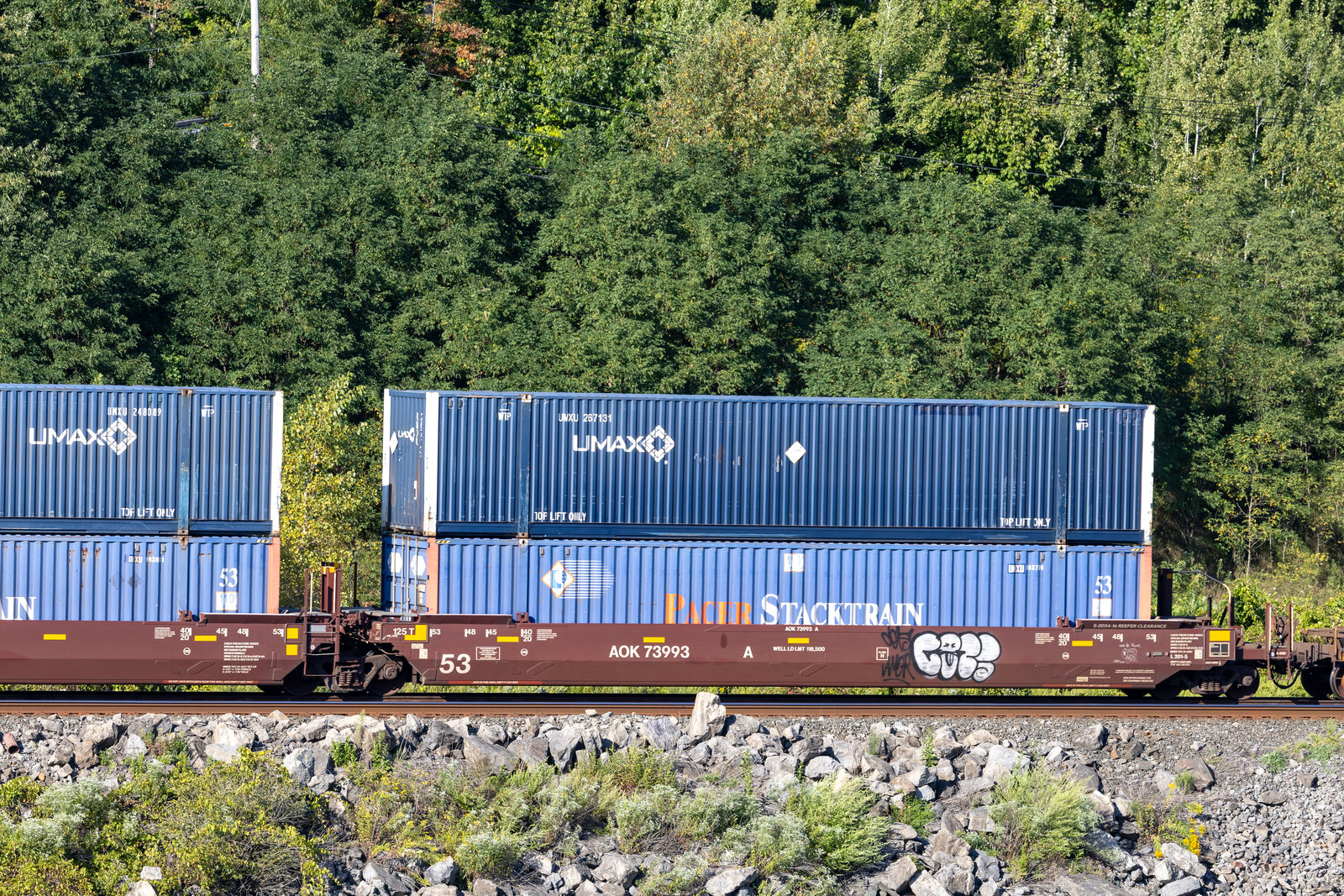 AOK 73993A