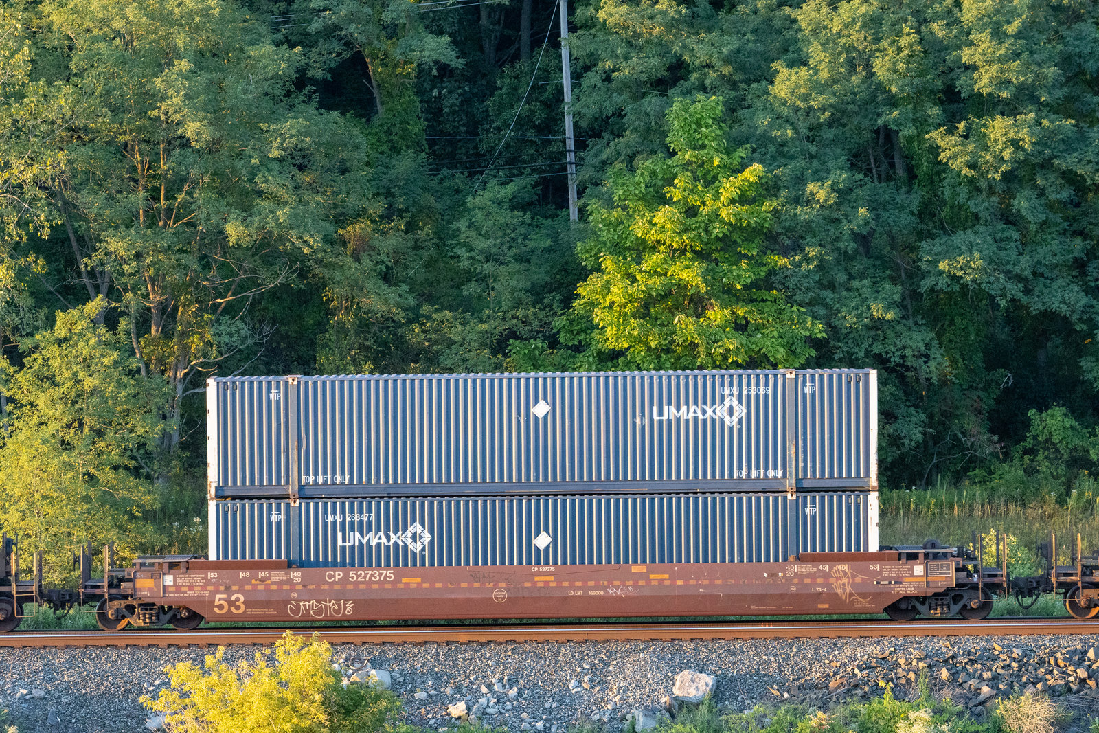 CP 527375
