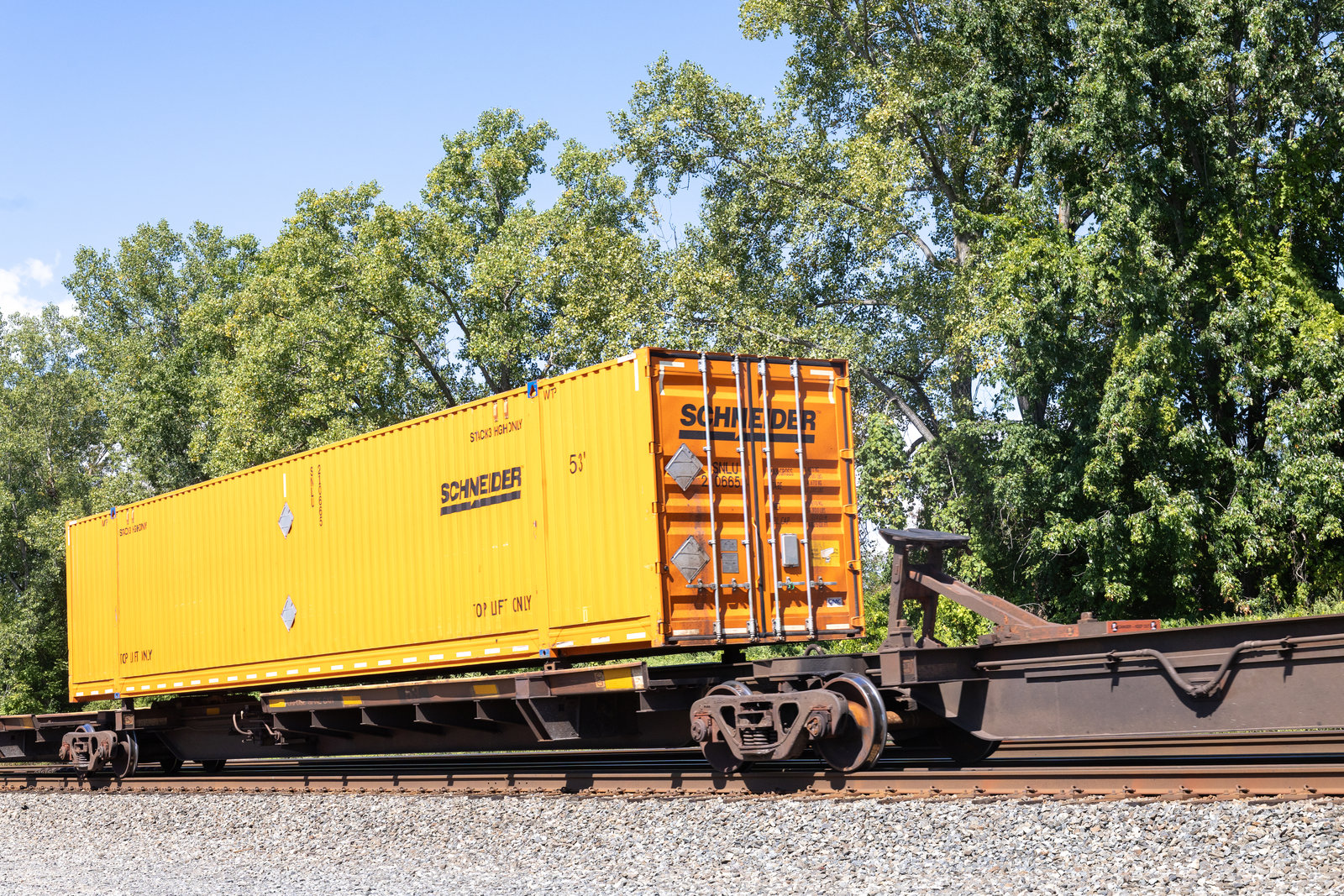 TTAX 555117D