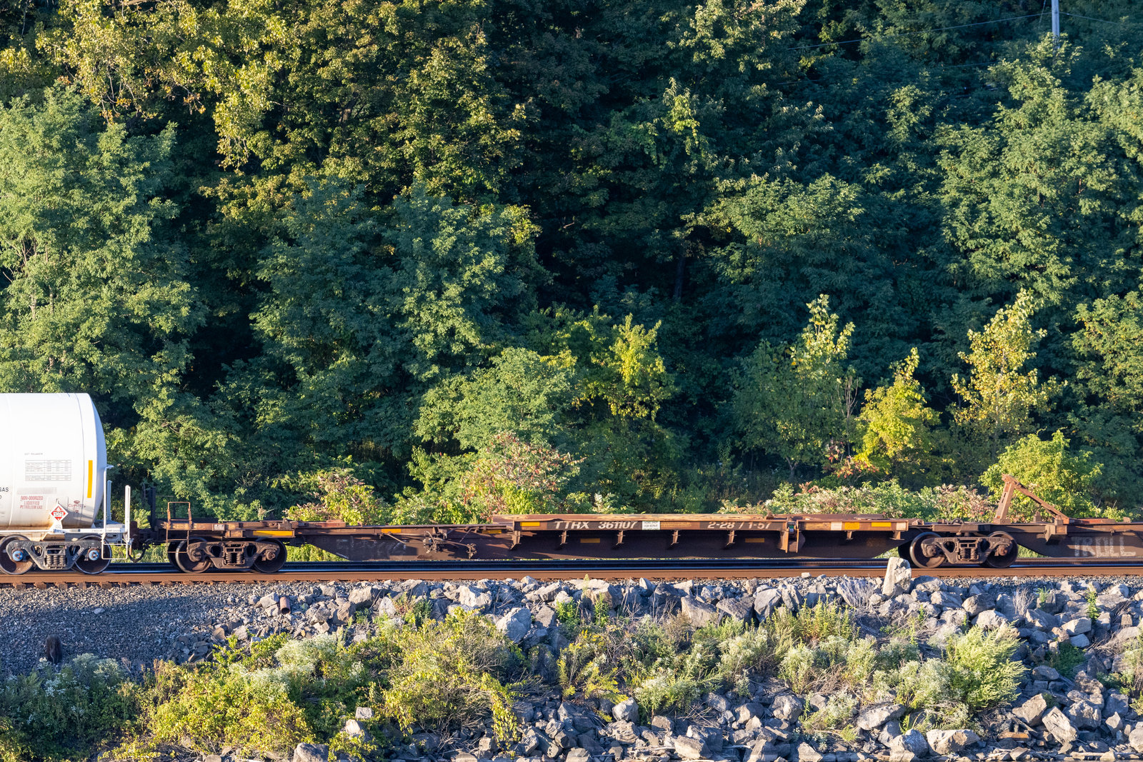 TTRX 361107B