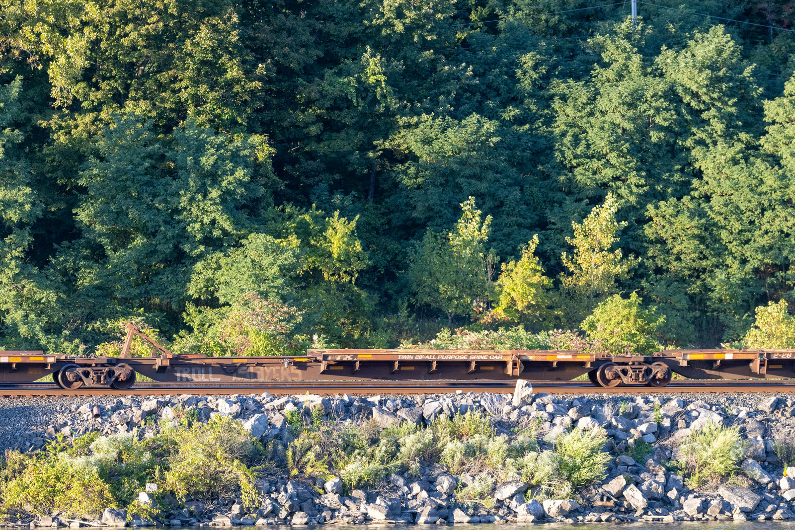 TTRX 361107C