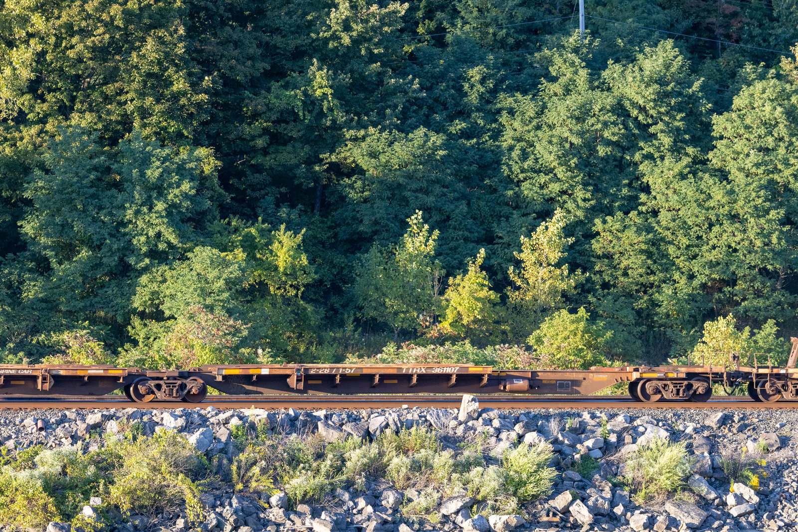 TTRX 361107A