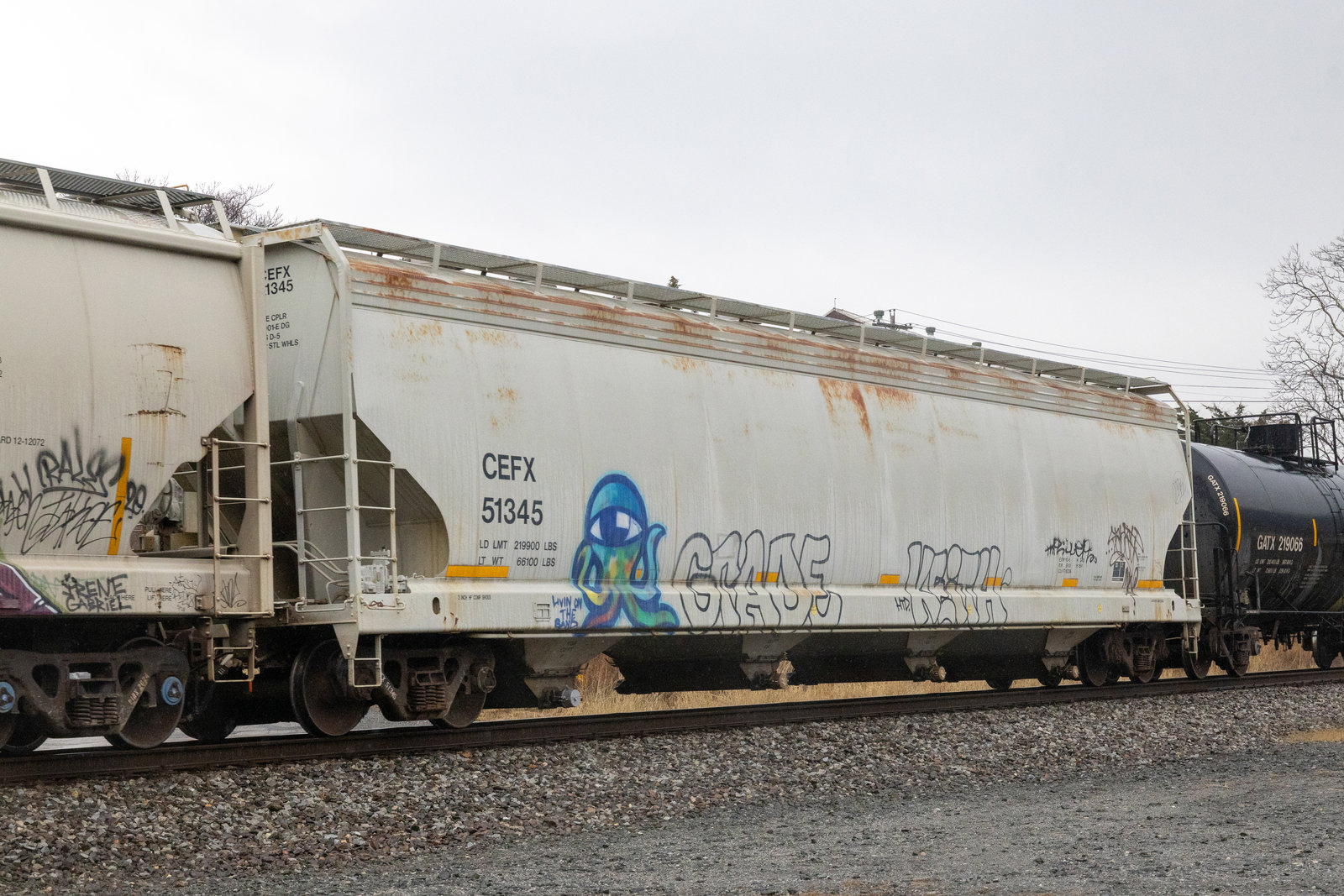CEFX 51345