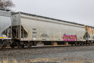 FINX 50171