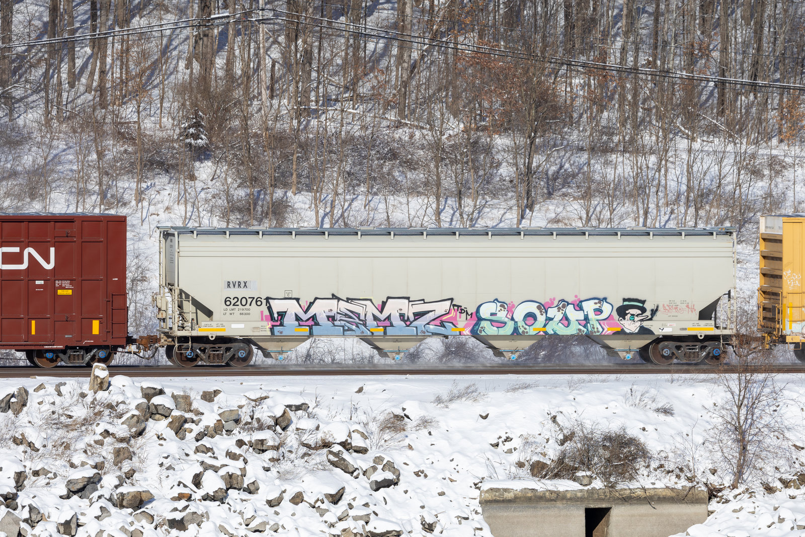 RVRX 620761