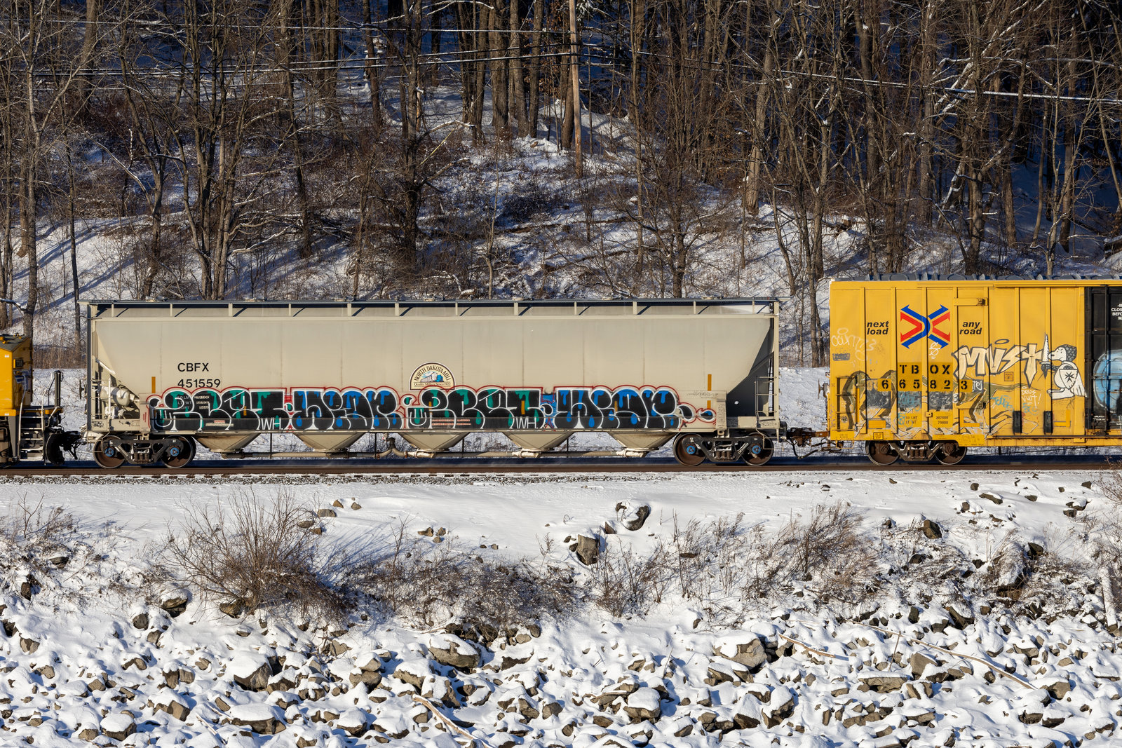 CBFX 451559