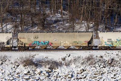 CBFX 450804