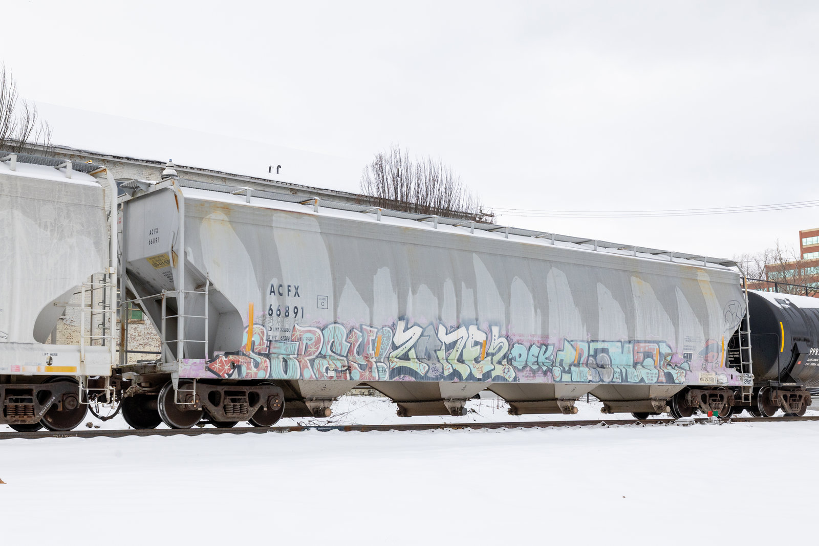 ACFX 66891
